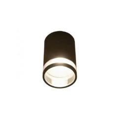 Licht-Trend Rock Decken-Aluminium Lenleuchte IP44 Anthrazit