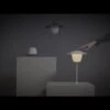 Blomus Ani Lamp Mobile LED-Leuchte Aluminium Weiß -Garten Grill Geschäft 1212302 v 1022