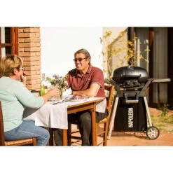 Napoleon Travel Q Pro 285 Gasgrill Schwarz -Garten Grill Geschäft 807282 11
