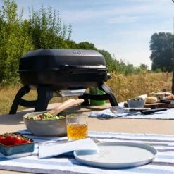 Napoleon TRAVELQ 240 Gasgrill -Garten Grill Geschäft napoleon travelq 240 gasgrill 1464609 3